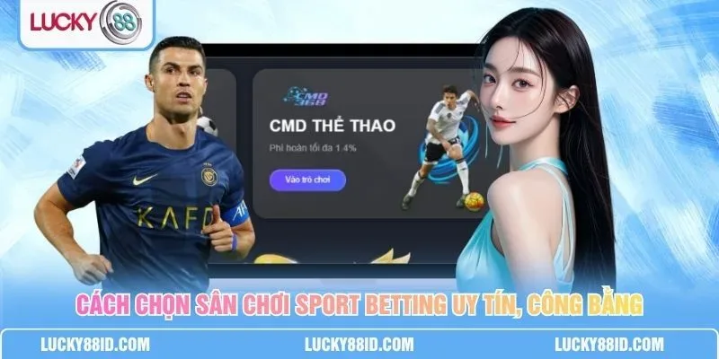 Các bộ môn thể thao hot năm 2026: bóng đá, bóng rổ, boxing, bóng chuyền