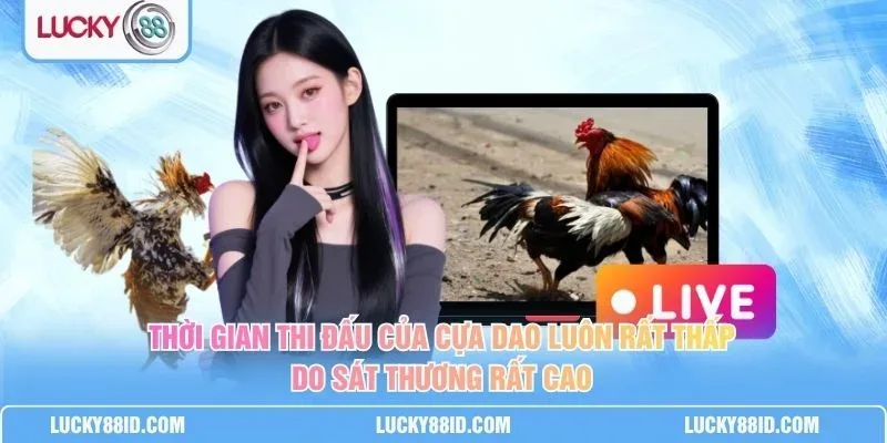 Người xem theo dõi trận đấu và đặt ngân sách giải trí hợp lý